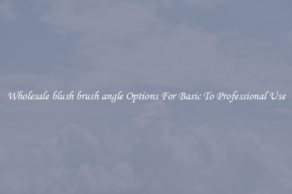Wholesale blush brush angle Options For Basic To Professional Use
