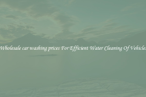 Wholesale car washing prices For Efficient Water Cleaning Of Vehicles