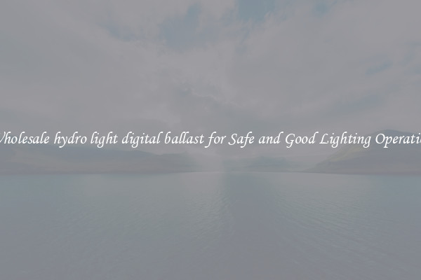 Wholesale hydro light digital ballast for Safe and Good Lighting Operation