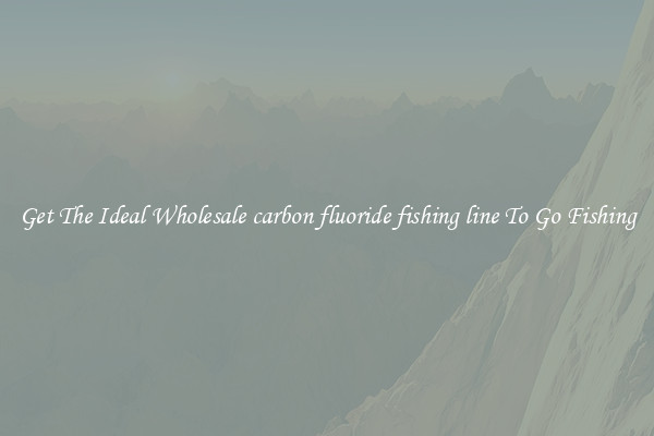 Get The Ideal Wholesale carbon fluoride fishing line To Go Fishing