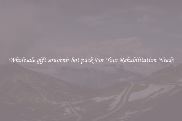 Wholesale gift souvenir hot pack For Your Rehabilitation Needs
