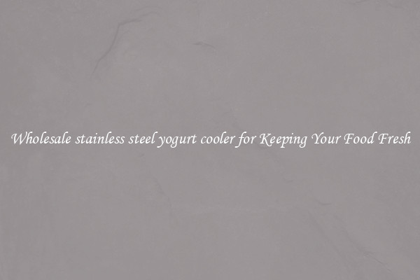 Wholesale stainless steel yogurt cooler for Keeping Your Food Fresh