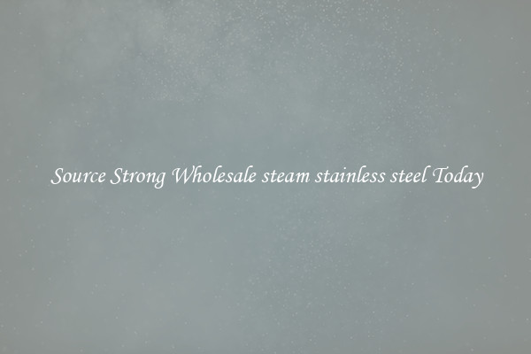 Source Strong Wholesale steam stainless steel Today