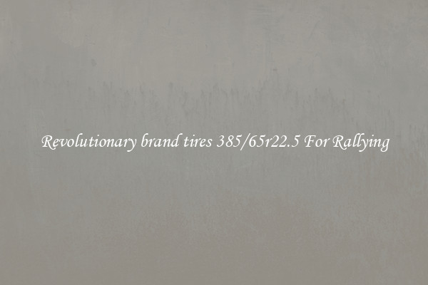 Revolutionary brand tires 385/65r22.5 For Rallying