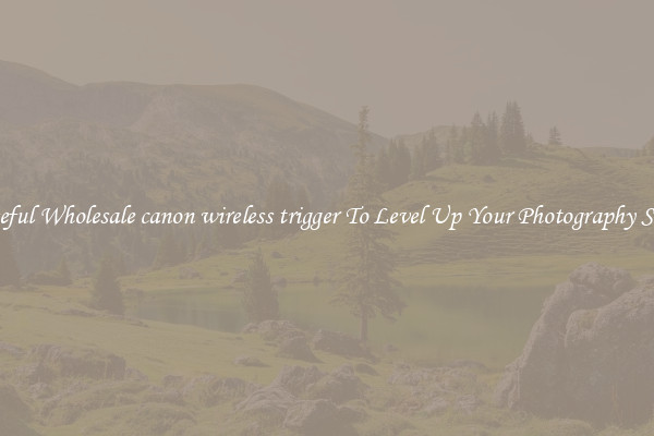 Useful Wholesale canon wireless trigger To Level Up Your Photography Skill