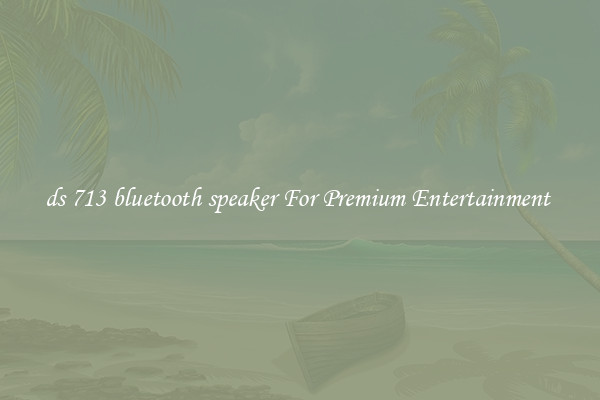 ds 713 bluetooth speaker For Premium Entertainment 