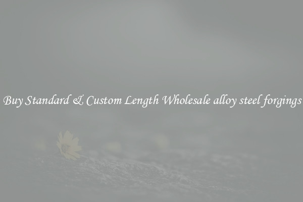 Buy Standard & Custom Length Wholesale alloy steel forgings