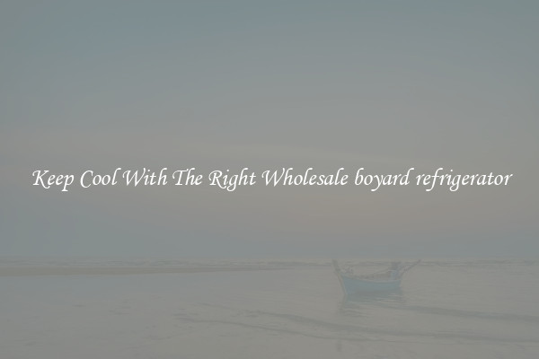 Keep Cool With The Right Wholesale boyard refrigerator