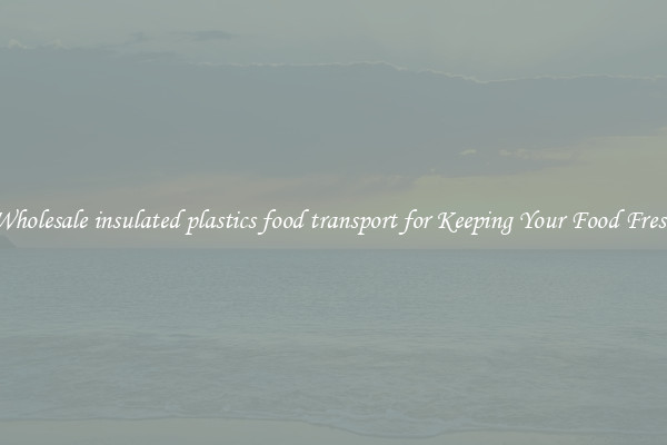 Wholesale insulated plastics food transport for Keeping Your Food Fresh