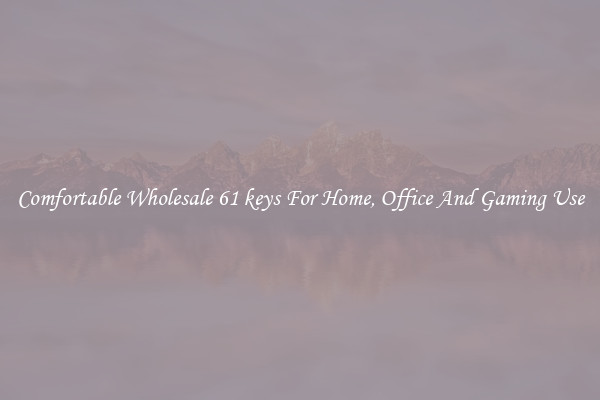 Comfortable Wholesale 61 keys For Home, Office And Gaming Use