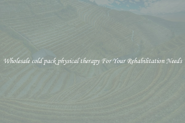 Wholesale cold pack physical therapy For Your Rehabilitation Needs