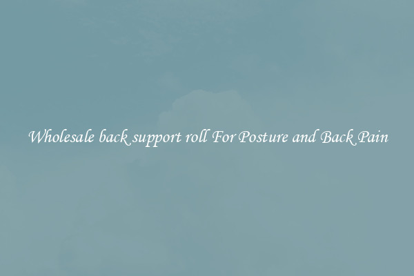 Wholesale back support roll For Posture and Back Pain