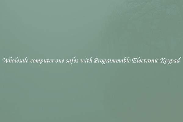 Wholesale computer one safes with Programmable Electronic Keypad 