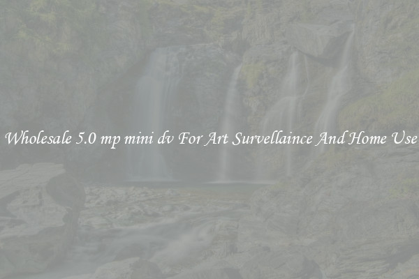 Wholesale 5.0 mp mini dv For Art Survellaince And Home Use