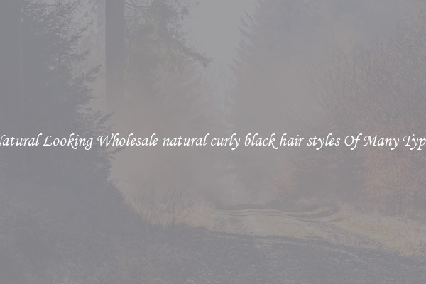 Natural Looking Wholesale natural curly black hair styles Of Many Types