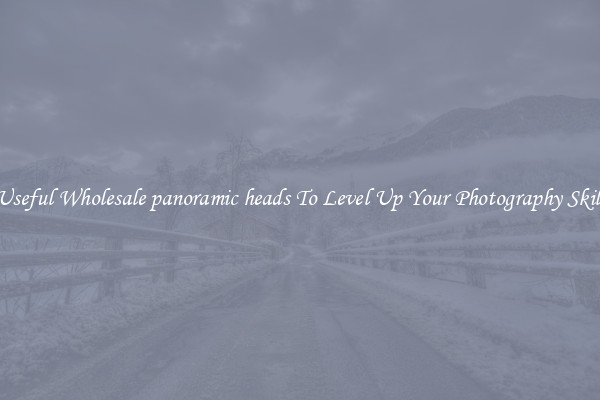 Useful Wholesale panoramic heads To Level Up Your Photography Skill