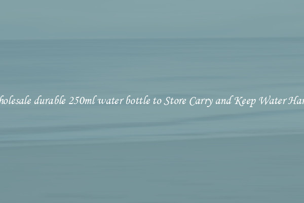 Wholesale durable 250ml water bottle to Store Carry and Keep Water Handy