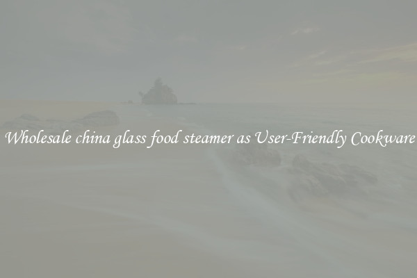 Wholesale china glass food steamer as User-Friendly Cookware