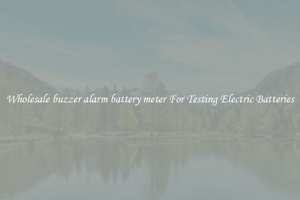 Wholesale buzzer alarm battery meter For Testing Electric Batteries