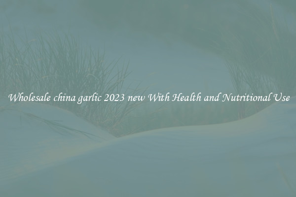 Wholesale china garlic 2023 new With Health and Nutritional Use