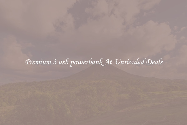 Premium 3 usb powerbank At Unrivaled Deals