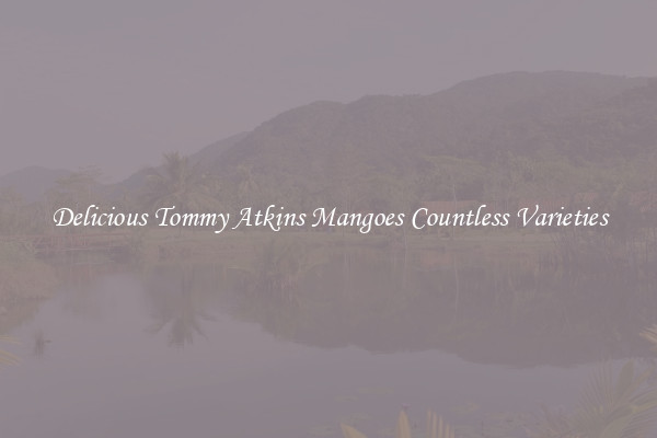 Delicious Tommy Atkins Mangoes Countless Varieties