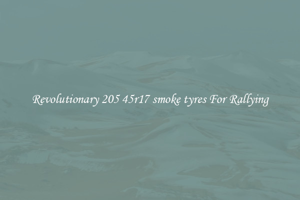 Revolutionary 205 45r17 smoke tyres For Rallying